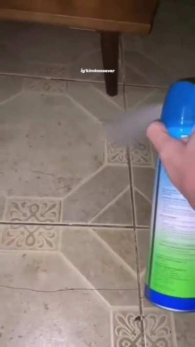 Cruel man caught on cam attempting murder