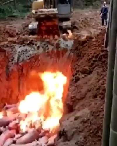 Idk about you but I like my bacon kinda crispy