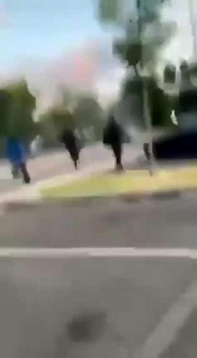 Welcome to the jungle.