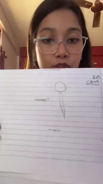 Sperm diagrams by Class 8 students