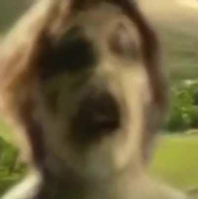 i don't know what to put here