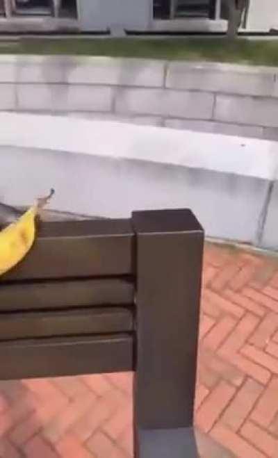 Видеоверсия