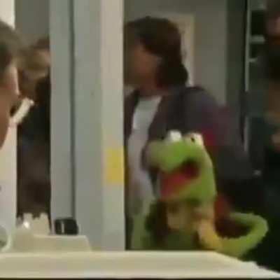 Kermit is an ape ally