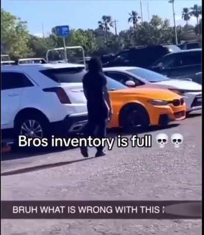 Leaked footage of the Courier 6 leaving the Sierra Madre: