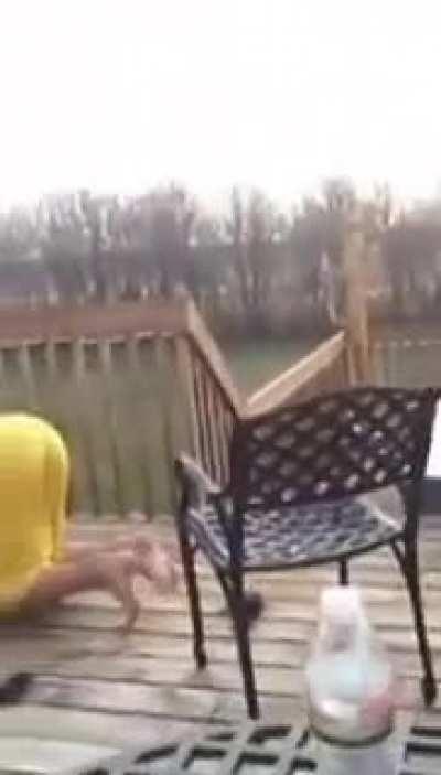 man was shooting at a bird and then this happened
