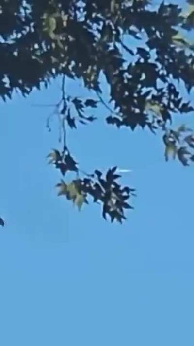 Seen in Santa Ynez, California, Oct 27, 2025