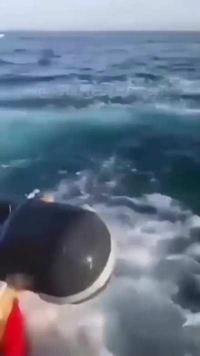 Got too close with his boat