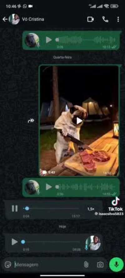 2050 CACHORROS COZINHEIROS