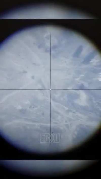 Losercity Trickshots