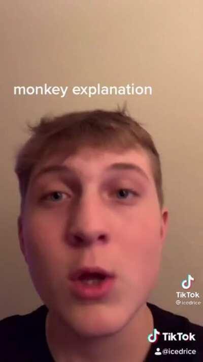 More monke explain for oompa