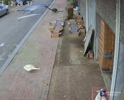 Peace was never an option