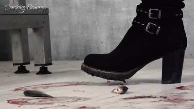 grace_fish_crush18cam1