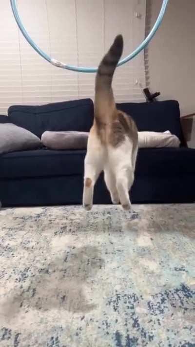 To make an epic jump