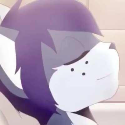 sorry, i know the sauce