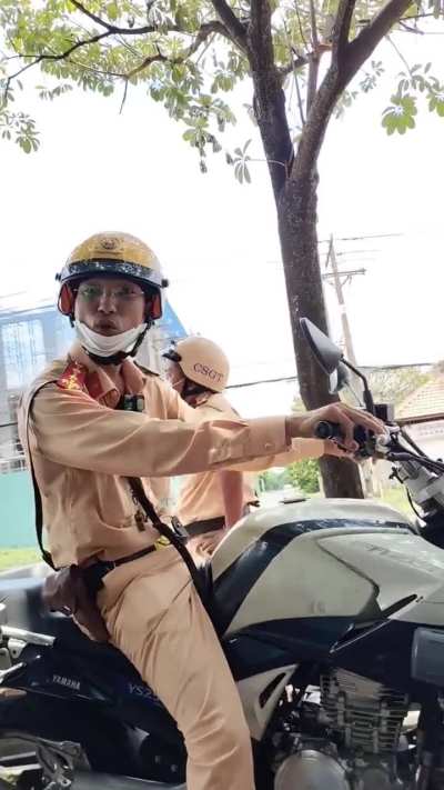 Chó vàng hù dọa người