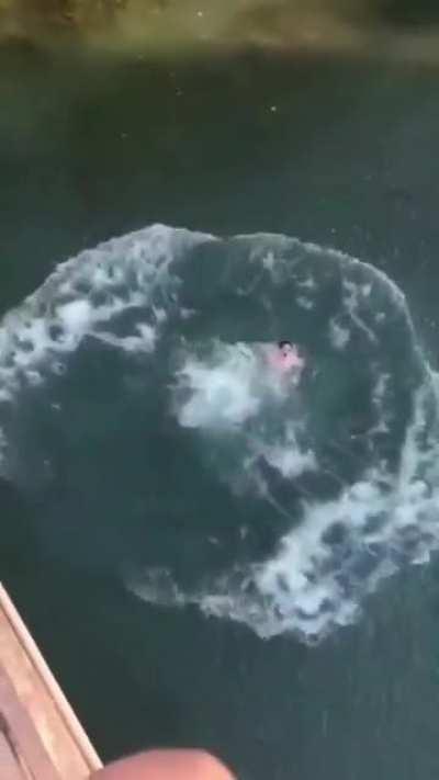 Back flipping off a bridge