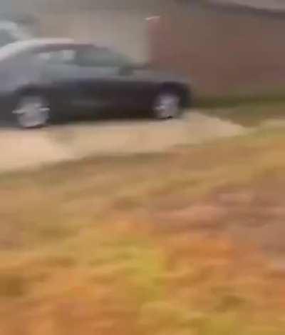 All they needed was a little sugar