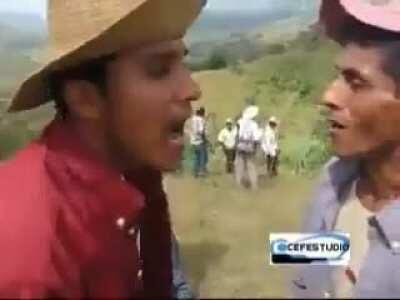 My neighbour's dogs at 3 AM