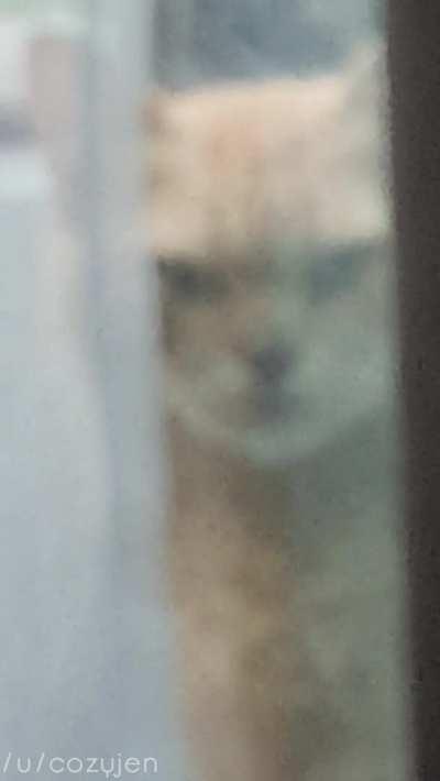 exposing my creepy neighbor 😳