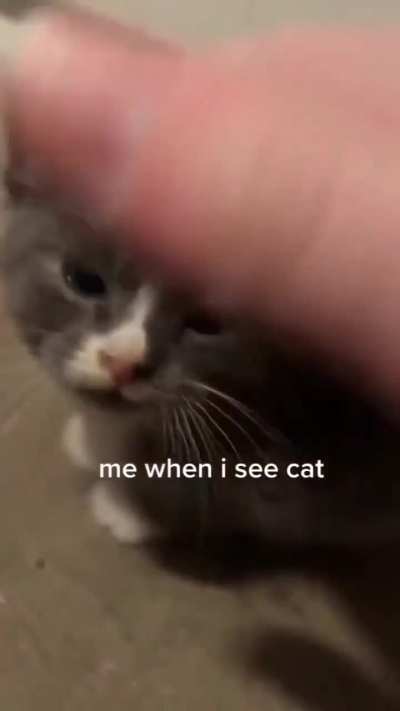 Internal scream with joy (totally reliable)