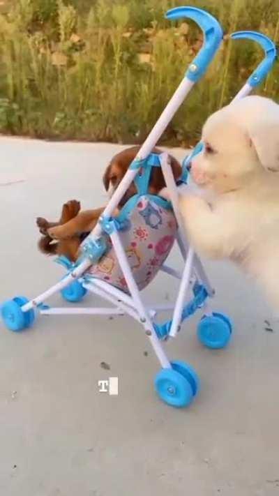 😍😍😍😍 THEY ARE SO CUTE!!