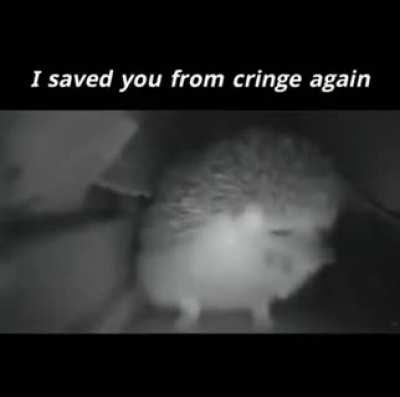 Congratulations, you are rescued!