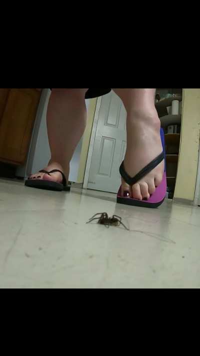 XxX ~BigSoleSuccubus~ XxX