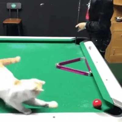 Lending a helping hand