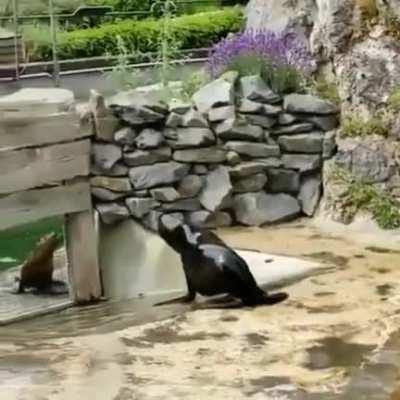 Friction is for losers