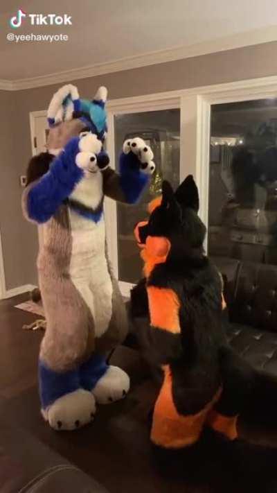 TFW your friend tries to make you give him a bj but both of your fursuits are in the way