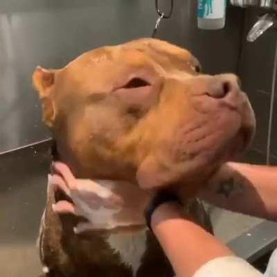 Scrub a dub dub 😂