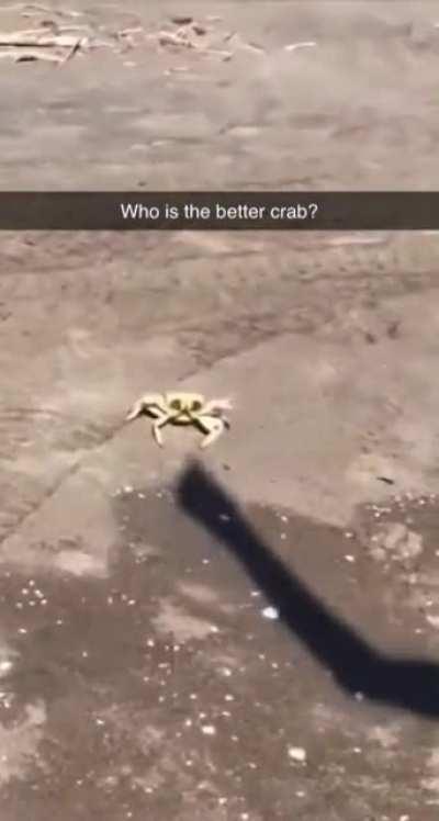 Thanks, I hate you 'shadow'