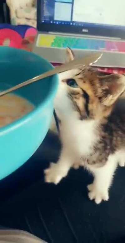 No cow’s milk for you