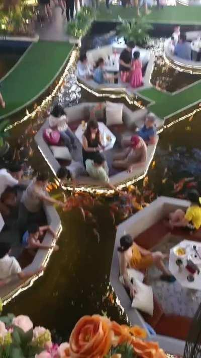 This restaurant in Vietnam.