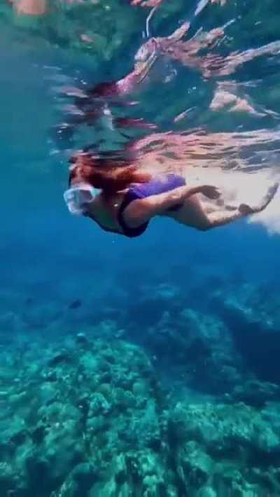 Diksha Sharma underwater bikini