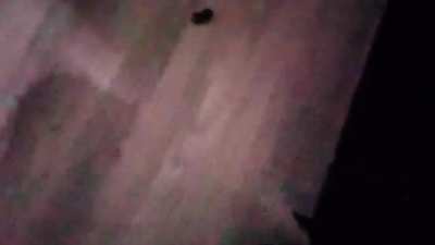 Delusional Dubstep DJ 