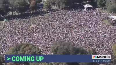 Aerial view of the nationwide ‘No Kings’ protest in Boston.