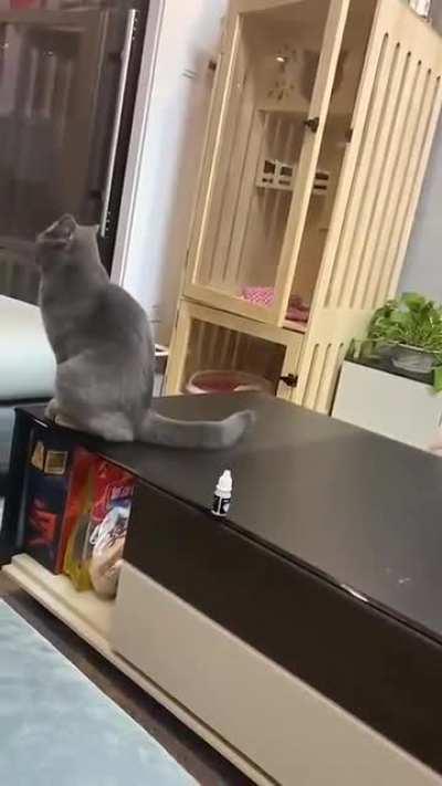 When you try to be good but instinct prevails