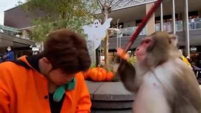 what did he even expect?🤣