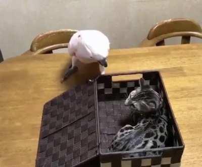 You want to be like that? Fine, stay in there then