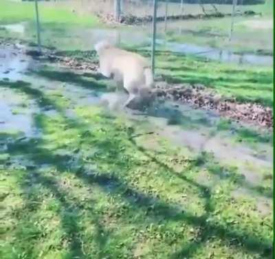 Happy splishy splashy