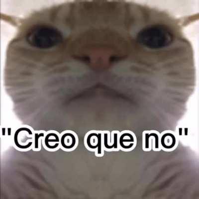 esto nunca pasa de moda, darkrai momento