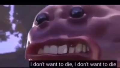 darussianbadger - Video #7586