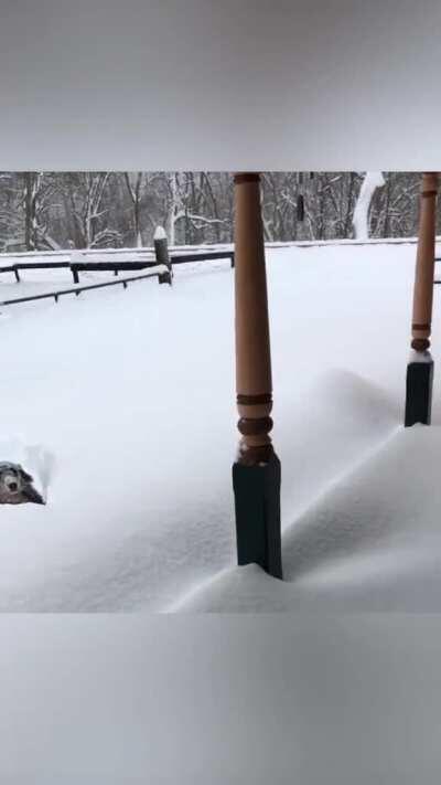 Who put dis white stuff here ?