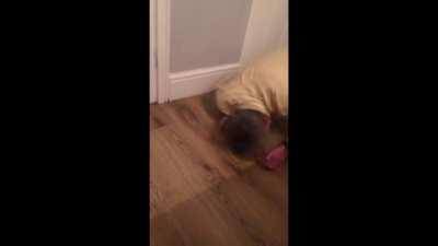 mr blue sky (se tiver uma coisa errada me avisem)