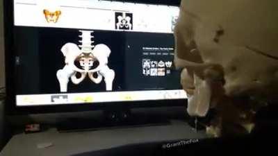 Someone posted this before but not whole vid. Enjoy