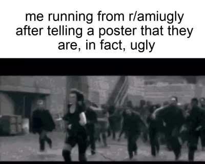 They asked for honest criticism