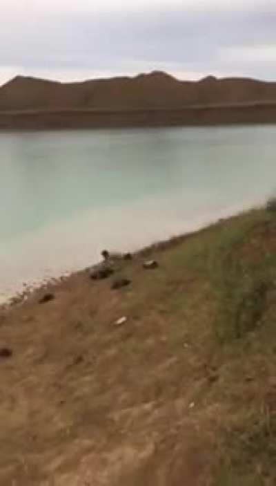 I felt that crunch in my body.