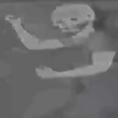 Homunculus little sister isn’t real