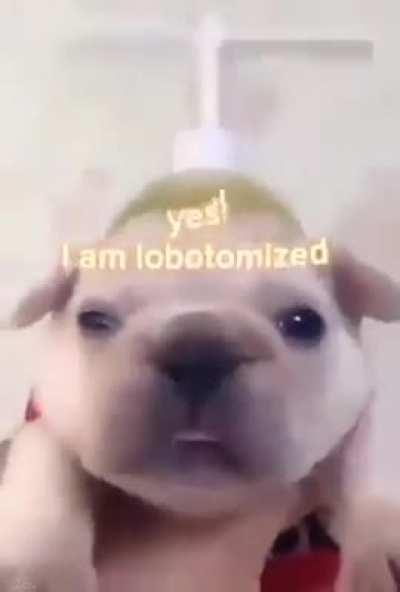 Heil Spez’s grandmother